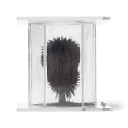 United Scientific™ 3D Magnetic Field Demonstrator